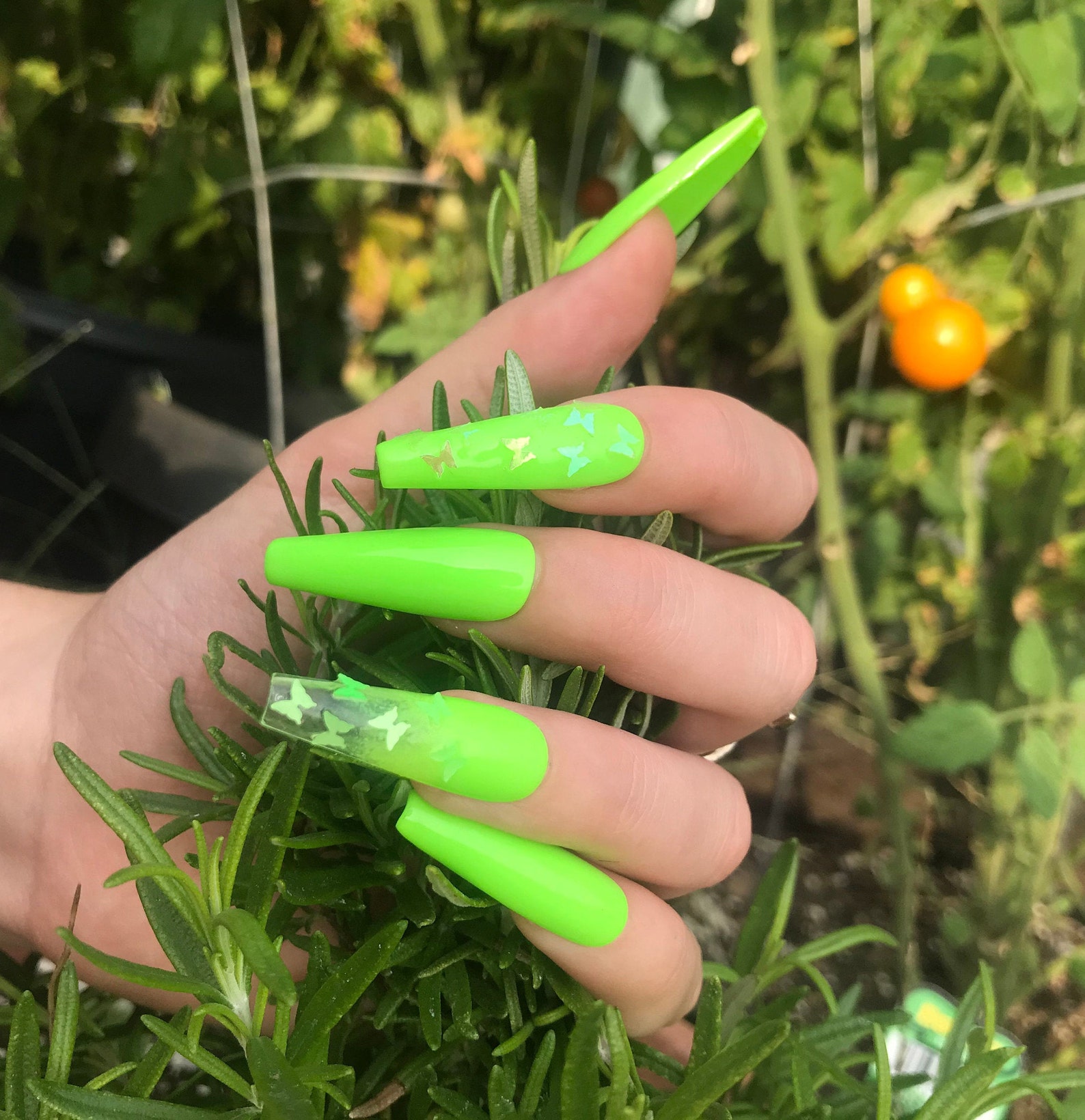 Neon Green Butterfly Butterfly Nails Green Nails Neon - Etsy Canada