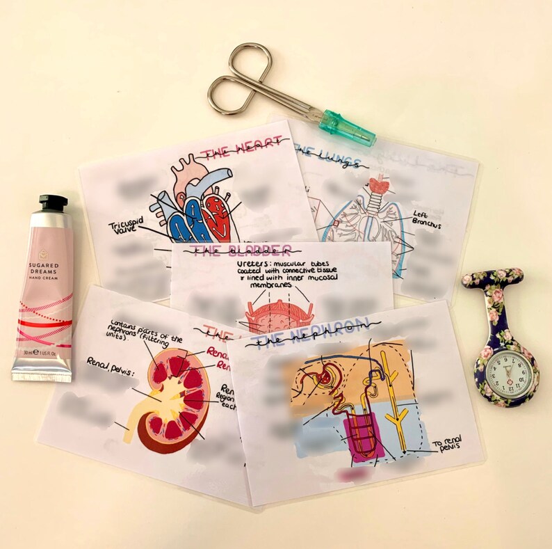 Where To Buy Flashcards Near Me
