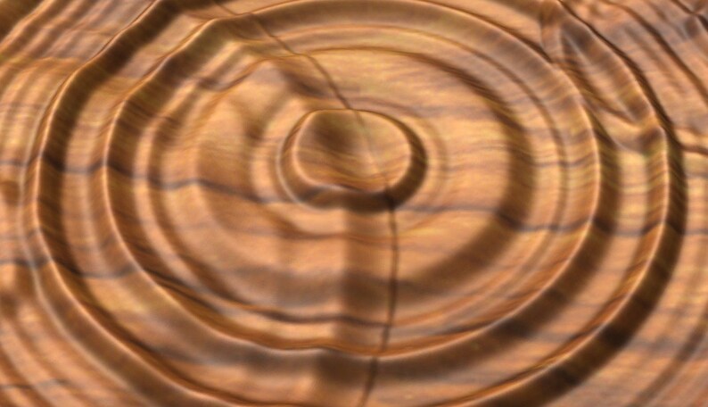 Puede incluir: Primer plano de una superficie de madera con un patr&oacute;n circular de anillos conc&eacute;ntricos, que se asemejan a las ondas en el agua. La madera tiene un color c&aacute;lido, marr&oacute;n con vetas m&aacute;s oscuras.