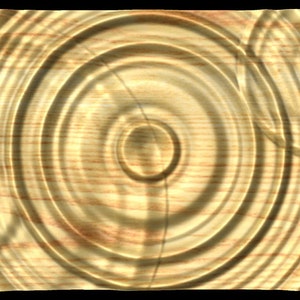 Puede incluir: Primer plano de una superficie de madera con un patr&oacute;n circular de anillos conc&eacute;ntricos, que se asemejan a las ondas en el agua. La madera tiene un color marr&oacute;n claro con vetas marrones m&aacute;s oscuras.