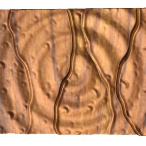 May include: A close-up of a wooden surface with a circular pattern and a textured, wavy design. The wood is a light brown color with darker brown streaks.