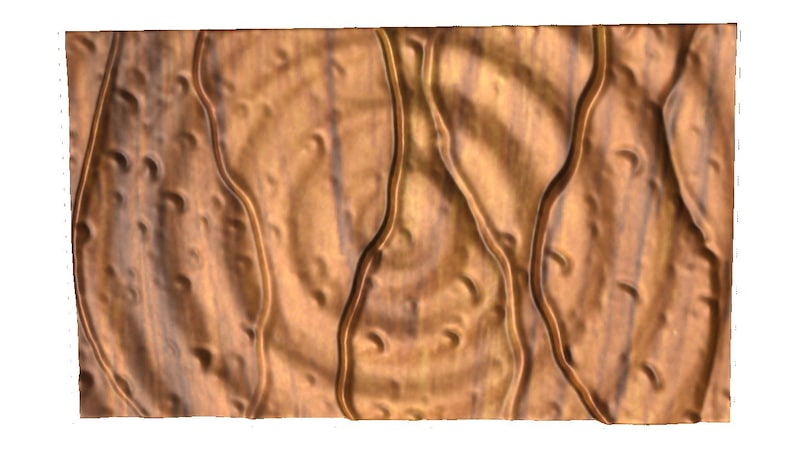 May include: A close-up of a wooden surface with a circular pattern and a textured, wavy design. The wood is a light brown color with darker brown streaks.