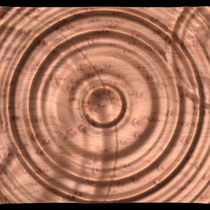 Puede incluir: Primer plano de una superficie de madera con un patr&oacute;n circular de anillos conc&eacute;ntricos. Los anillos son de color marr&oacute;n claro y tienen una apariencia ligeramente texturizada.