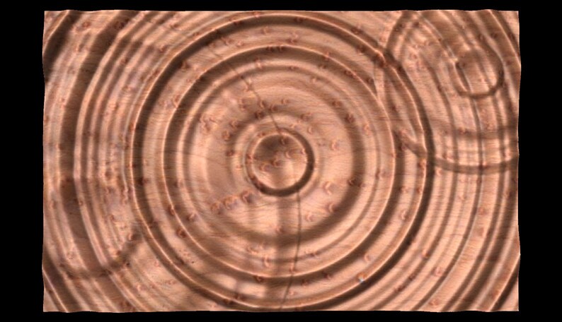 Puede incluir: Primer plano de una superficie de madera con un patr&oacute;n circular de anillos conc&eacute;ntricos. Los anillos son de color marr&oacute;n claro y tienen una apariencia ligeramente texturizada.