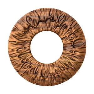 May include: A close-up of a brown eye with a detailed texture, resembling wood grain.