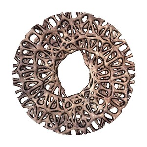 May include: A circular, intricate, brown metal design with a large open centre. The design is made up of many overlapping, curved lines that create a complex pattern.