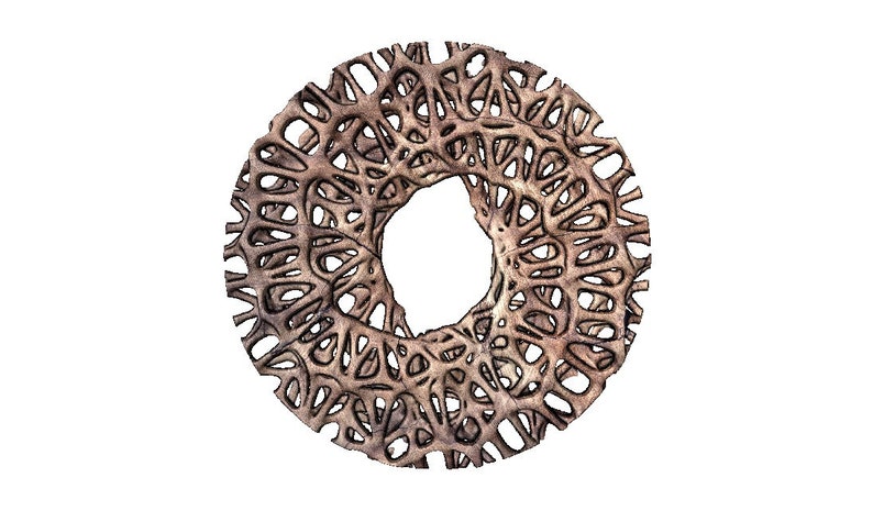May include: A circular, intricate, brown metal design with a large open centre. The design is made up of many overlapping, curved lines that create a complex pattern.