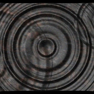 Puede incluir: C&iacute;rculos conc&eacute;ntricos abstractos en blanco y negro con una superficie texturizada. Los c&iacute;rculos se asemejan a las ondas en el agua.