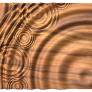 May include: A close-up of a wooden surface with a pattern of concentric circles, resembling ripples in water. The wood has a warm, brown color with a subtle grain pattern.