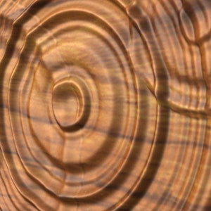 Puede incluir: Primer plano de una superficie de madera con un patr&oacute;n circular de anillos conc&eacute;ntricos. La madera es de color marr&oacute;n c&aacute;lido con un tono rojizo. La superficie es lisa y pulida.