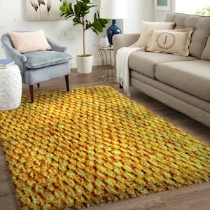 Beauté artisanale : grands tapis à crochets pour sols artistiques