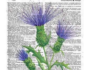 Definizione di cardo: Dizionario acquerello Stampa artistica