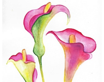 Stampa ad acquerello di Cala Lilies