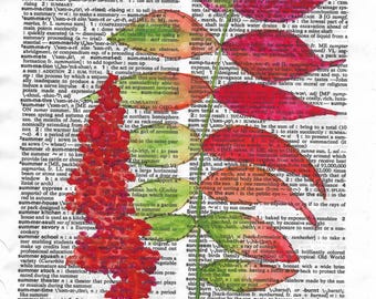 Stampa acquerello di sommacco su pagina di dizionario