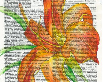Stampa artistica del dizionario dell'acquerello di Daylily