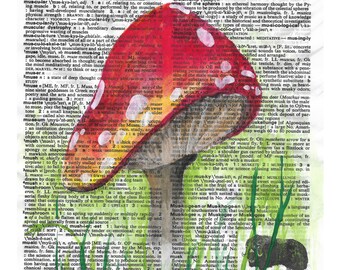 Stampa artistica ad acquerello di funghi: definizione del dizionario