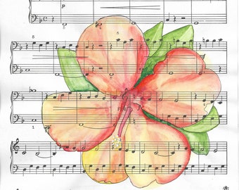 Ibisco tropicale Song of the Islands