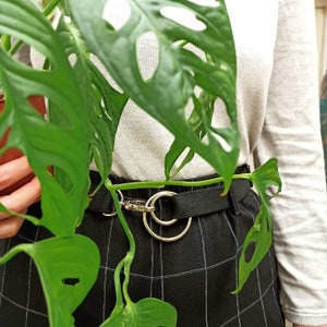 cinturón de doble anilla con cierre de broche/ 100% algodón/ largo ajustable/ unisex/ vegano imagen 3