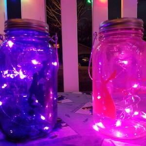 Revolutionary Girl Utena My Snow White Queen lighted decorative jar set