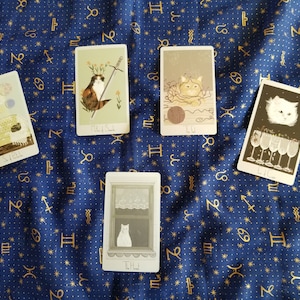 Cat Spread Spread a 5 carte (letture di Ginevra)