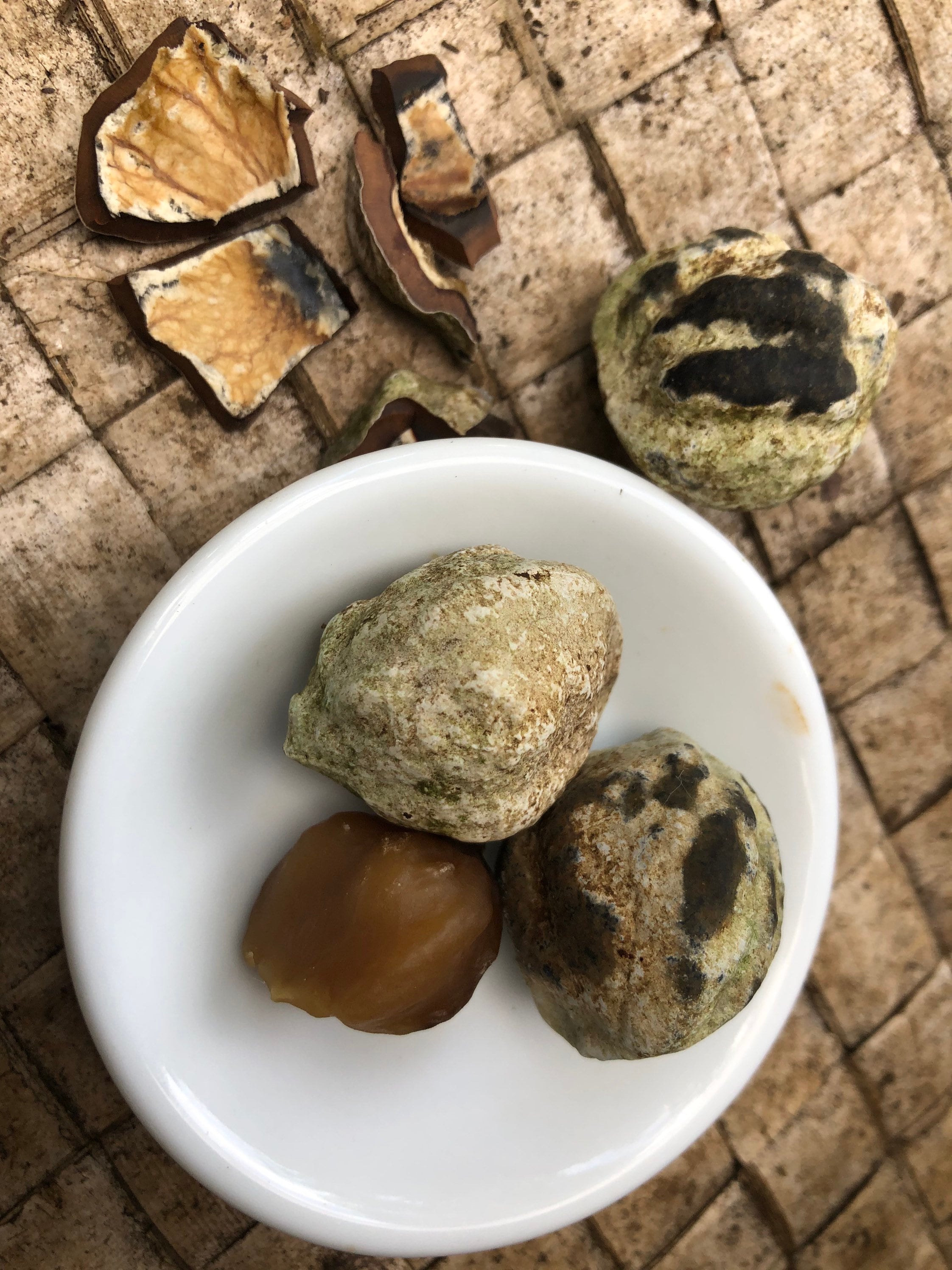 Organic Kukui Nuts Etsy