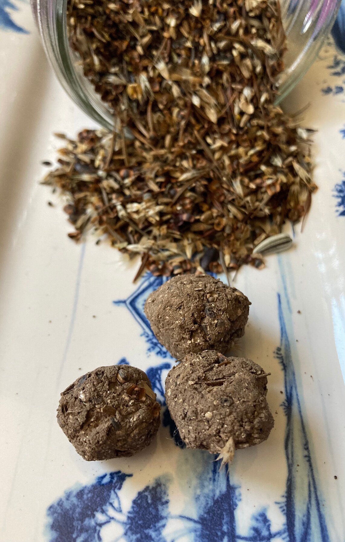 US Northeast Wildflower Seed Bombs 3 Pack Etsy