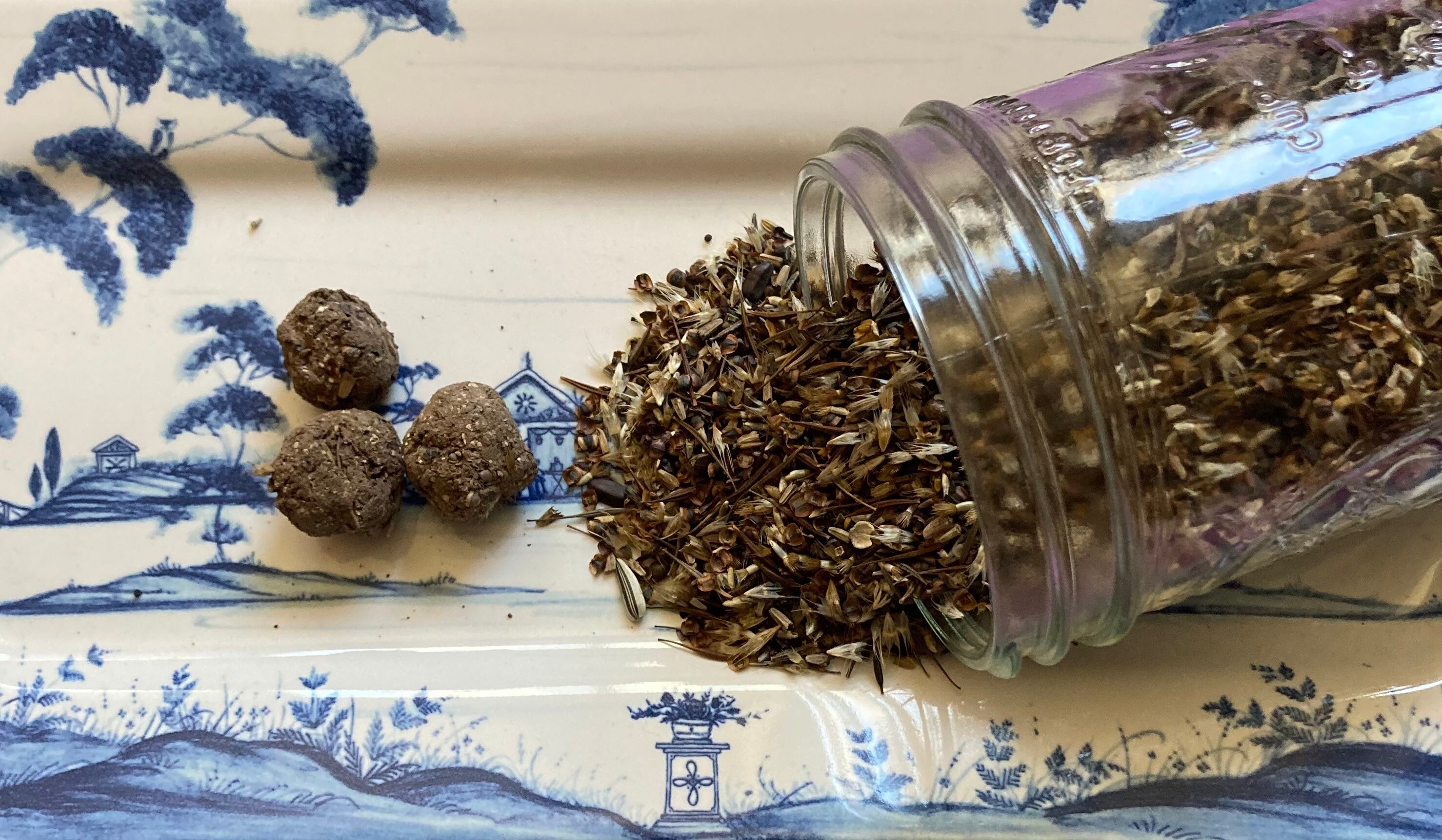 US Northeast Wildflower Seed Bombs 3 Pack Etsy