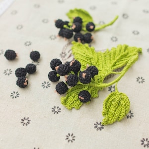 Crochet Black Currant: Montessori Toy Food, Kitchen Decor