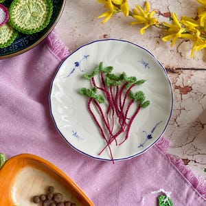 Op de afbeelding: Een wit bord met een bosje gebreide radijs plantjes. De radijsjes zijn rood en de bladeren zijn groen. Het bord ligt op een roze tafelkleed.