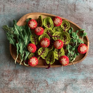 Crochet Italian Ravioli Pasta With Cherry Tomatoes and Beetroot Leaves ...