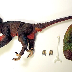 marshalli atrociraptor mesozoic raptor