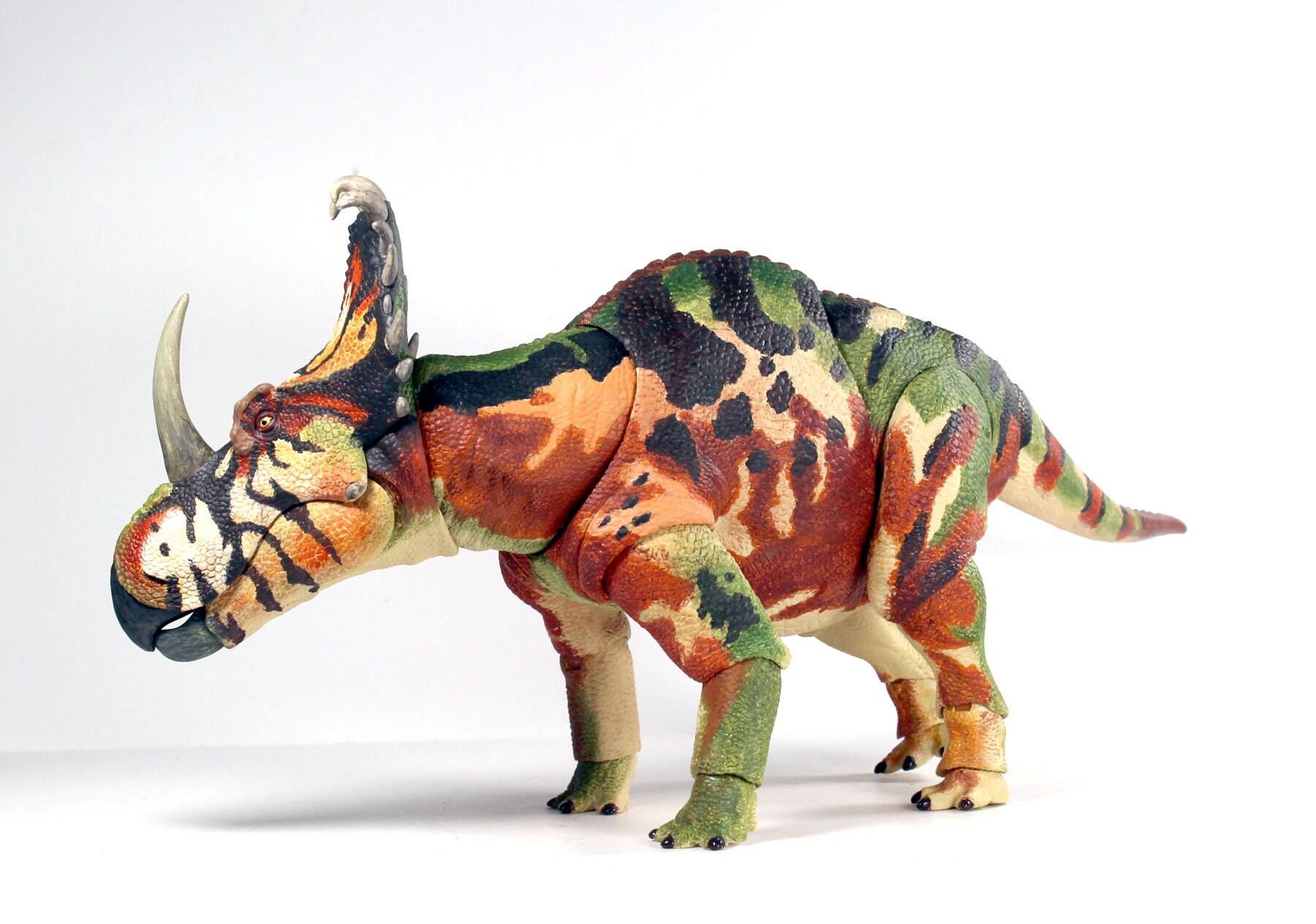 Sinoceratops Zhuchengensis Beasts of the Mesozoic Ceratopsian