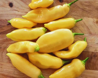 Sugar Rush Peach Pepper Seeds: Sweet & Spicy, Rare Variety (20 Seeds)