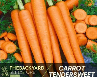 Tendersweet Carrot Seeds: Heirloom Non-GMO, 200+ Seeds