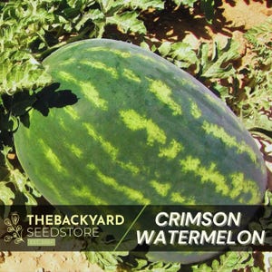 Crimson Sweet Watermelon, Watermelon Seeds, Popular Watermelon Variety, 30+ Seeds, Heirloom Non-GMO Variety