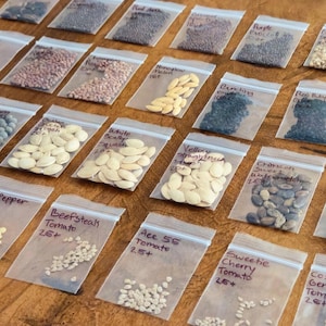 May include: A collection of small, clear plastic bags filled with various seeds, arranged on a wooden surface. Each bag is labeled with the seed type, such as "Beefsteak Tomato" and "Sweetie Cherry Tomato". The seeds vary in color and size.