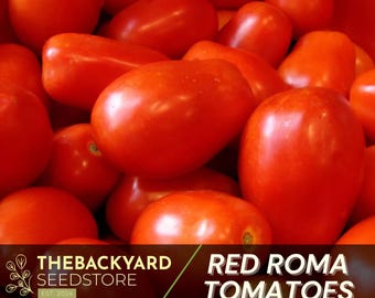 Roma Tomato Seeds: Heirloom Paste Tomato, High Yield