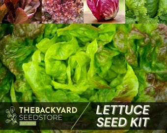 Gourmet Lettuce Seeds: Pick Your Variety, Garden Vegetable Seeds