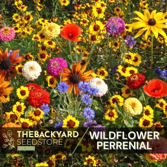 Wildflower Seed Mix - All Perennial - 15 Species - 300+ Seeds - Garden Flower Seeds