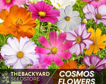 Cosmos Flower Seed Mix: 10 Varieties, Non-GMO Summer Garden