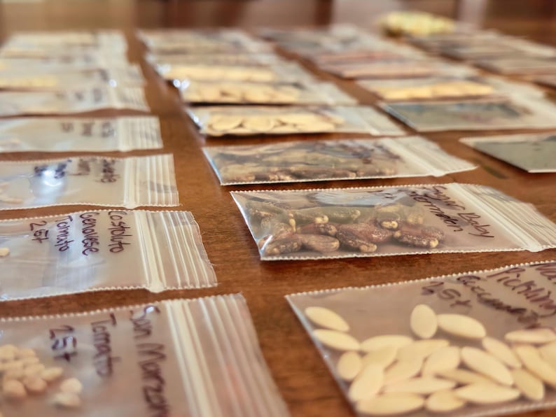 May include: Close-up of several small, clear plastic bags filled with various seeds, arranged on a wooden surface. Each bag is labeled with handwritten text, indicating the type of seed. The seeds vary in color and shape, suggesting a variety of plant types.
