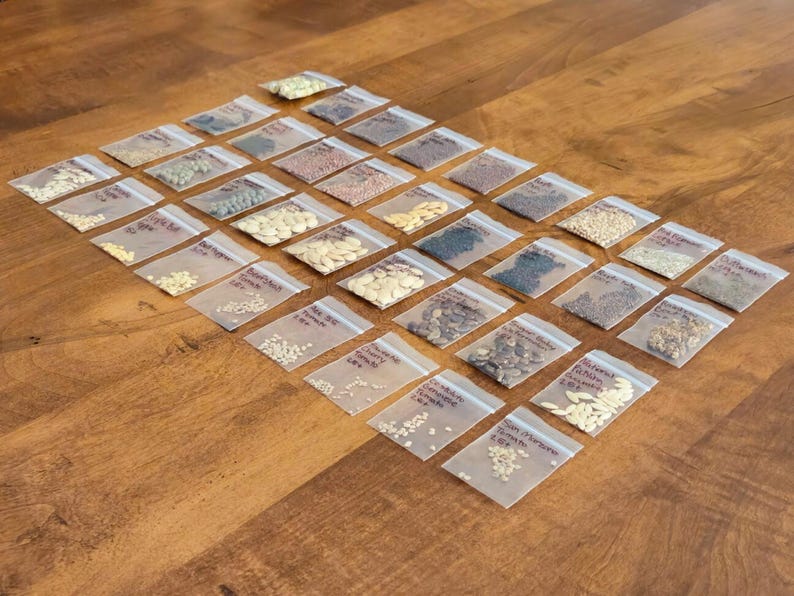 May include: An overhead shot of a collection of small, clear plastic bags filled with various seeds. Each bag is labeled with handwritten text. The bags are arranged in neat rows on a wooden surface, suggesting a gardening or seed-starting theme.
