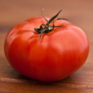 Beefsteak Tomato Seeds, 35+ Beefsteak Tomato Variety Seeds, Large Tomatoes and Productive Plants