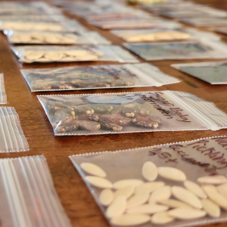 May include: Close-up of several small, clear plastic bags filled with seeds, arranged on a wooden surface. The bags contain various types of seeds, some labeled with handwritten text. The seeds vary in color and shape, suggesting different plant varieties.