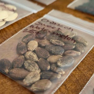 May include: Close-up of a clear plastic bag filled with Crimson Sweet watermelon seeds. The seeds are oval-shaped, with a mix of dark brown and tan colors. Handwritten text on the bag reads "Crimson Sweet Watermelon 25+".