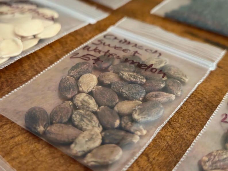 May include: Close-up of a clear plastic bag filled with Crimson Sweet watermelon seeds. The seeds are oval-shaped, with a mix of dark brown and tan colors. Handwritten text on the bag reads "Crimson Sweet Watermelon 25+".