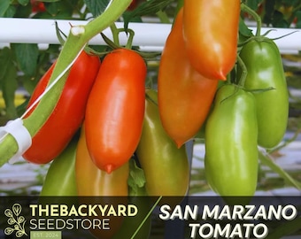 San Marzano Tomato Seeds - Heirloom Paste Tomato, Determinate Variety