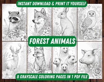 8 Coloring Pages of Animals From The Forest Instant Download Printable PDF in Fantasy Comic Style