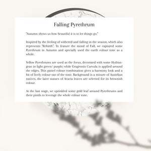 Pu&ograve; includere: Una scheda bianca con il titolo "Falling Pyrethrum" e testo che descrive l'ispirazione e il processo di cattura dell'essenza dell'autunno. Il testo menziona piretri gialli, ortensie e foglie d'oro.