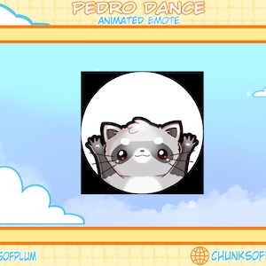 Pedro Racoon Dance Animated Emote for Twitch, Instant Download